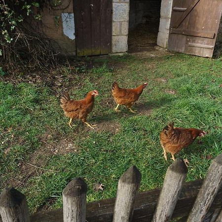 Chambres D'Hote En Dordogne Beauronne Dış mekan fotoğraf