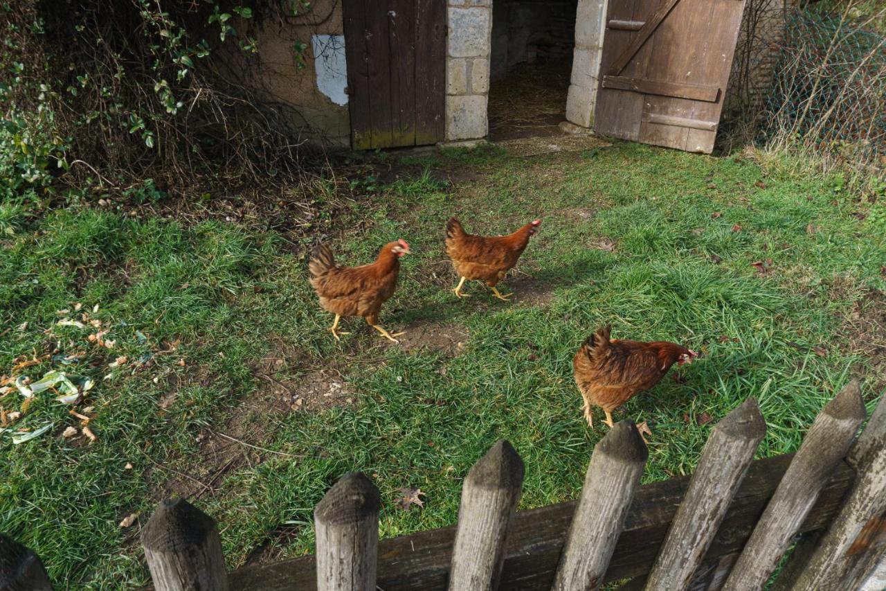 Chambres D'Hote En Dordogne Beauronne Dış mekan fotoğraf